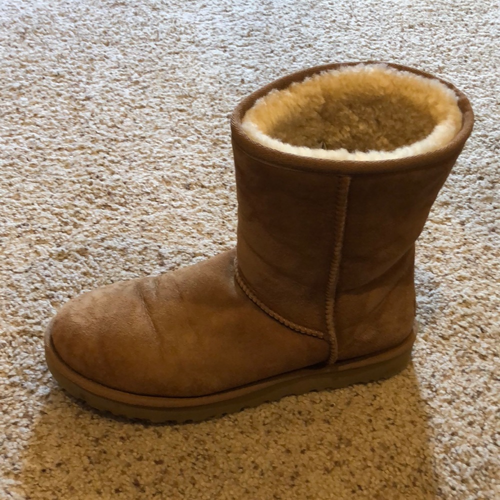 Short tan uggs - Picture 4 of 6